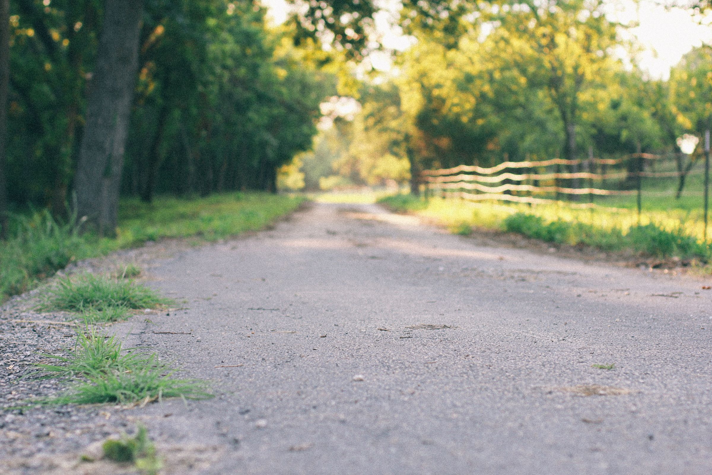 A quiet country lane bordered by a wooden fence and shade trees in warm afternoon light